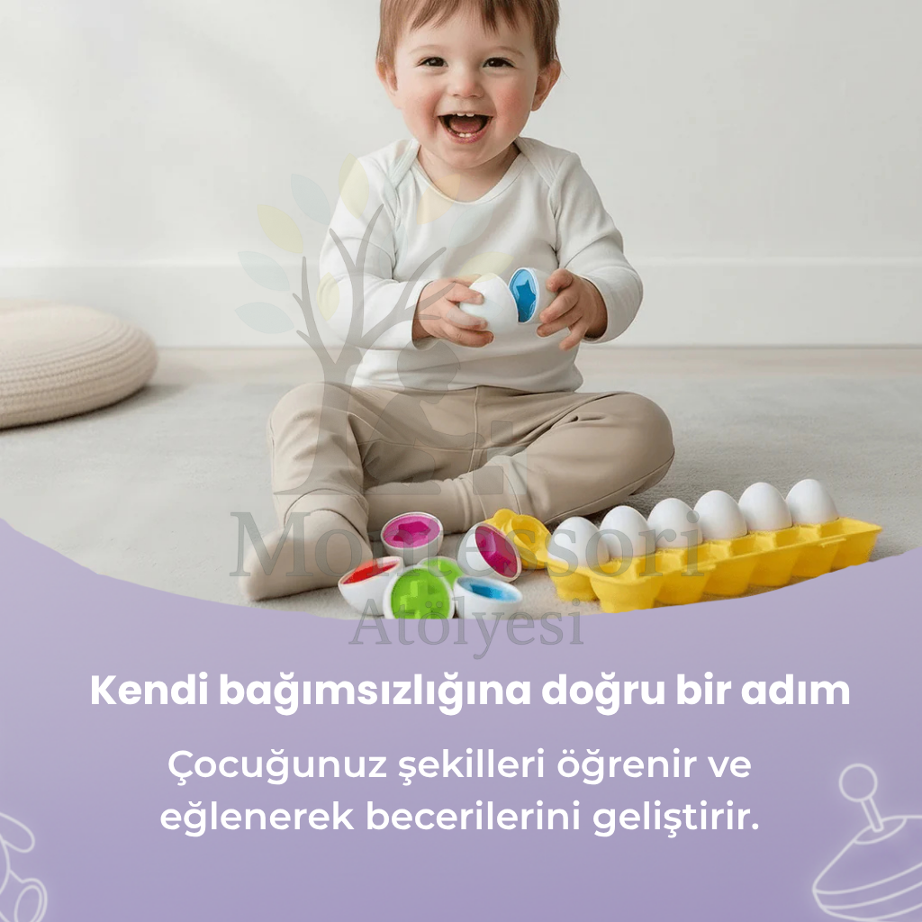 Montessori Yumurta Şekil Eşleştirme Motor Beceri Oyuncağı Montessor Atolyesi