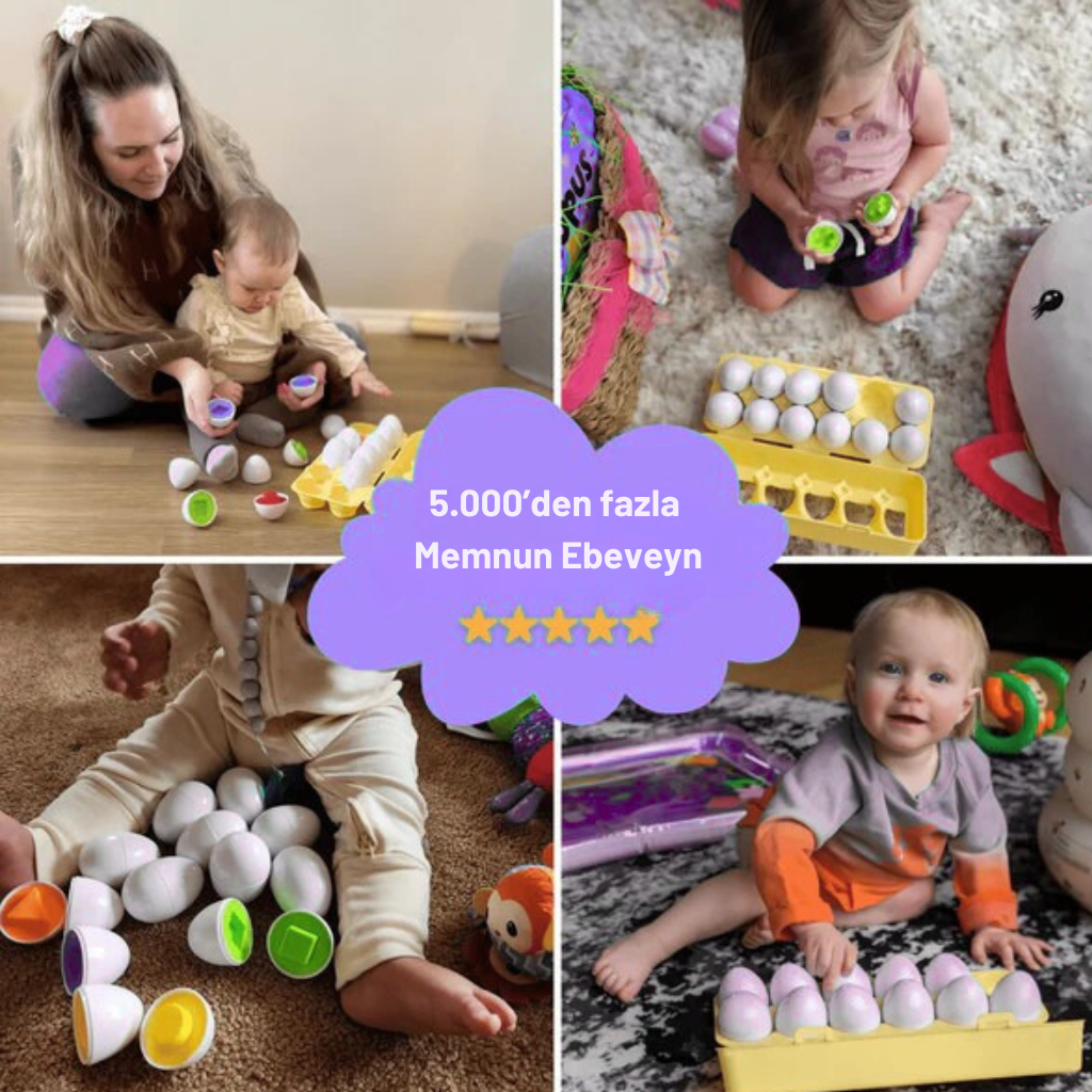 Montessori Yumurta Şekil Eşleştirme Motor Beceri Oyuncağı Montessor Atolyesi