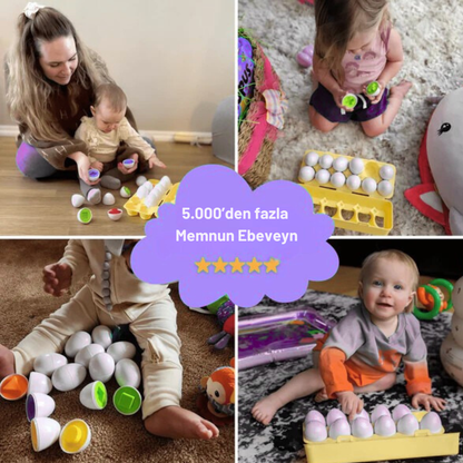 Montessori Yumurta Şekil Eşleştirme Motor Beceri Oyuncağı Montessor Atolyesi
