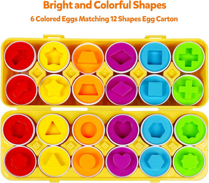 Montessori Egg Shape Matching Motor Skills Toy